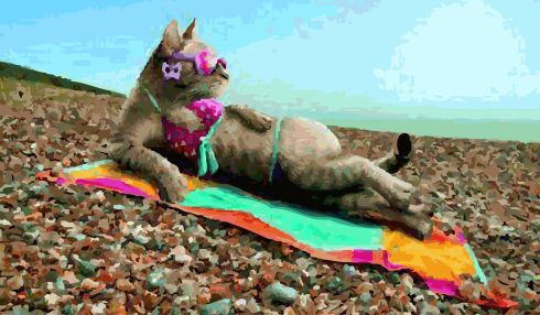 lip service sexy cat